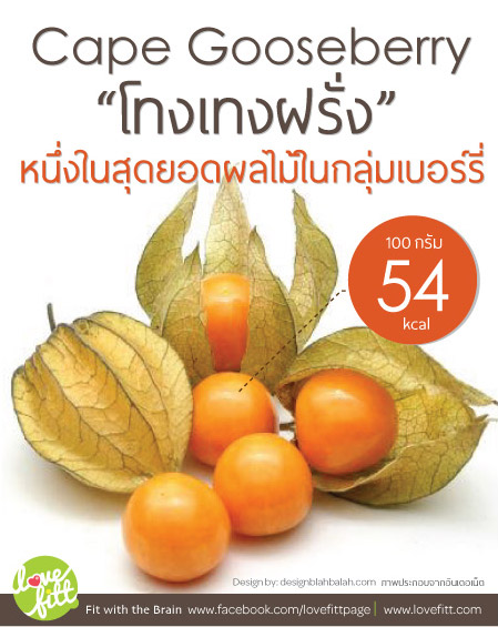 Cape Gooseberry “โทงเทงฝรั่ง”หนึ่งในสุดยอดผลไม้กลุ่มเบอร์รี่