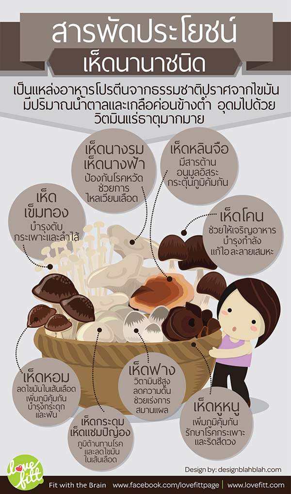 สารพัดประโยชน์ของเห็ดนานาชนิด