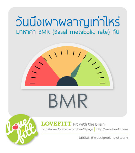 BMR คือ