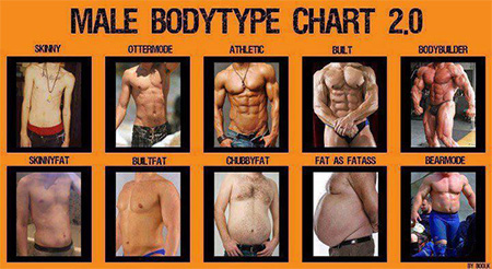 Male body type