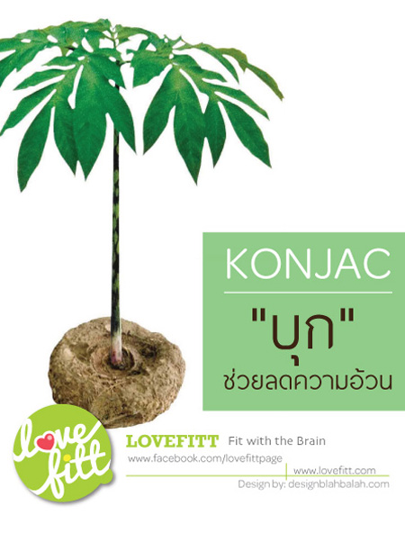 konjac