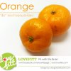 “ส้ม” ของว่างอุดมประโยชน์