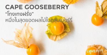 Cape Gooseberry “โทงเทงฝรั่ง”หนึ่งในสุดยอดผลไม้กลุ่มเบอร์รี่