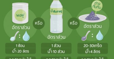 วิธีการล้างผักอย่างปลอดภัย