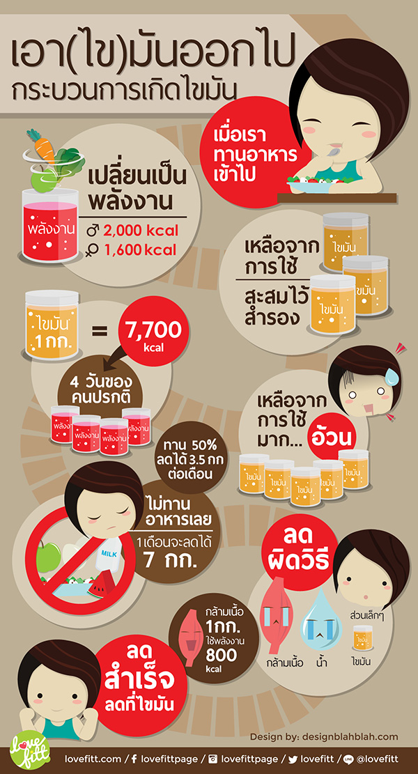 อาหารลดไขมันในร่างกาย