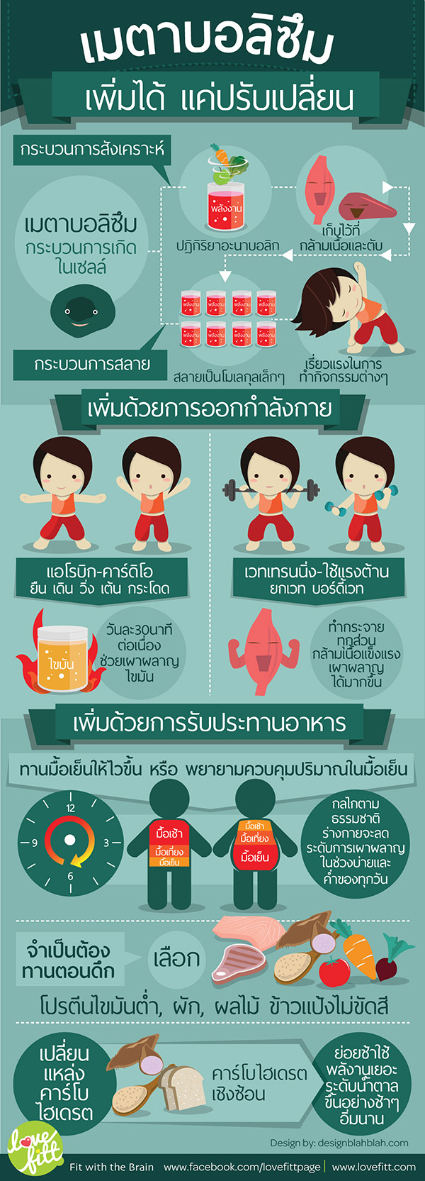 กระบวนการใดที่ทำให้ร่างกายเผาผลาญอาหารแล้วได้พลังงาน