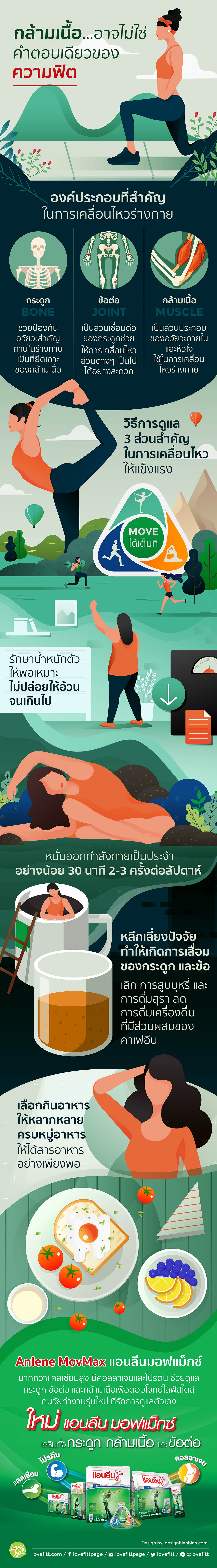 ข้อมูลเกี่ยวกับ กล้ามเนื้อ…อาจไม่ใช่คำตอบเดียวของความฟิต