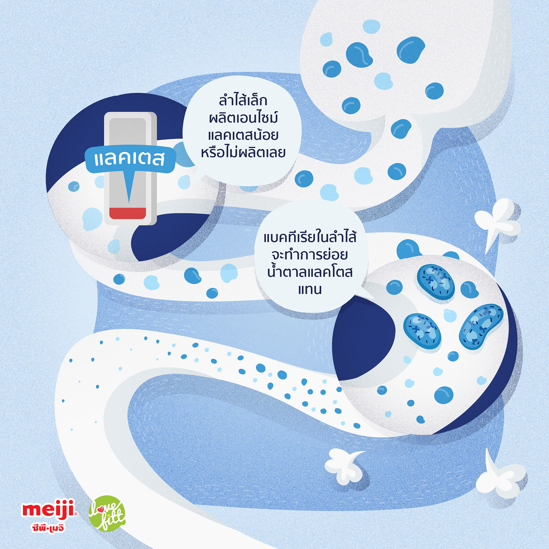 meiji-lactose-free-milk-img-05