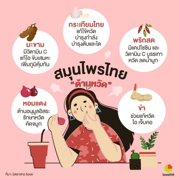 สมุนไพรไทยต้านหวัด