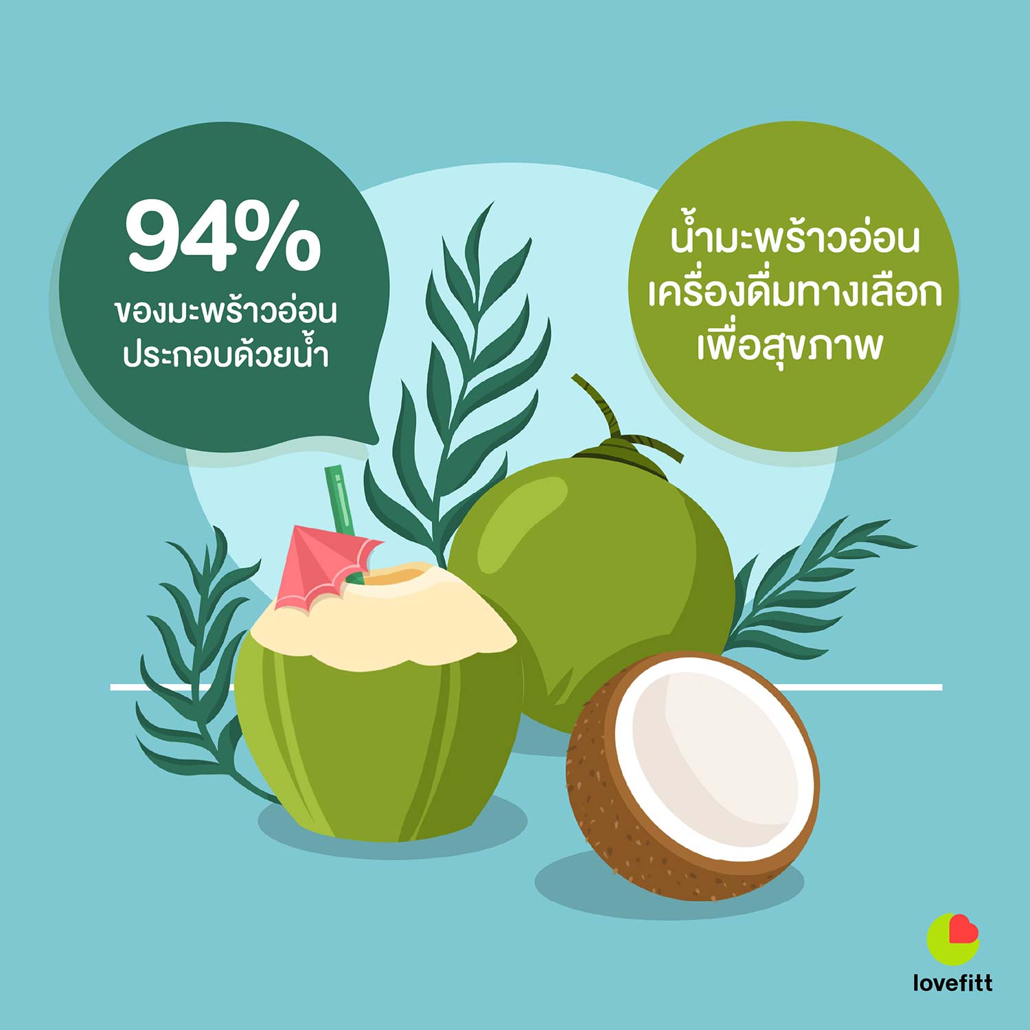 94% ของมะพร้าวอ่อนประกอบด้วยน้ำ