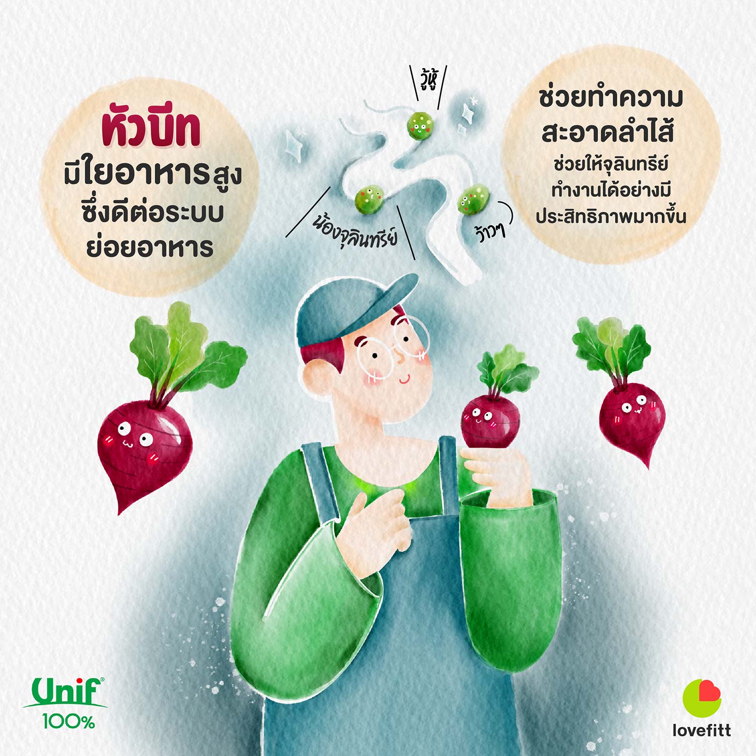 บีทรูท (Beetroot) ในยูนิฟ น้ำผัก ผลไม้รวม 100% มีใยอาหารสูงดีต่อระบบย่อยอาหาร
