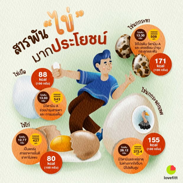 สารพัน “ไข่” มากประโยชน์