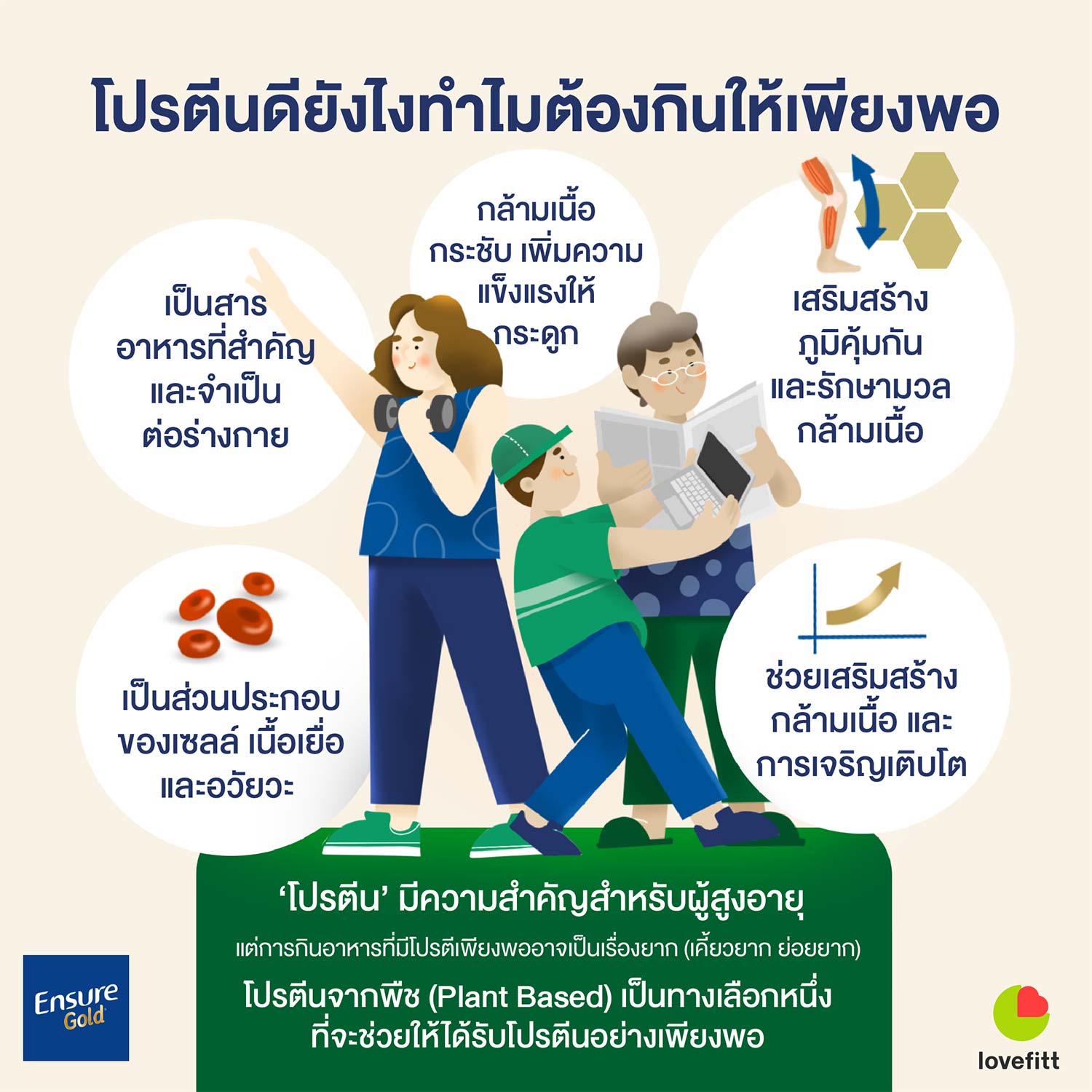 ความสำคัญของโปรตีน