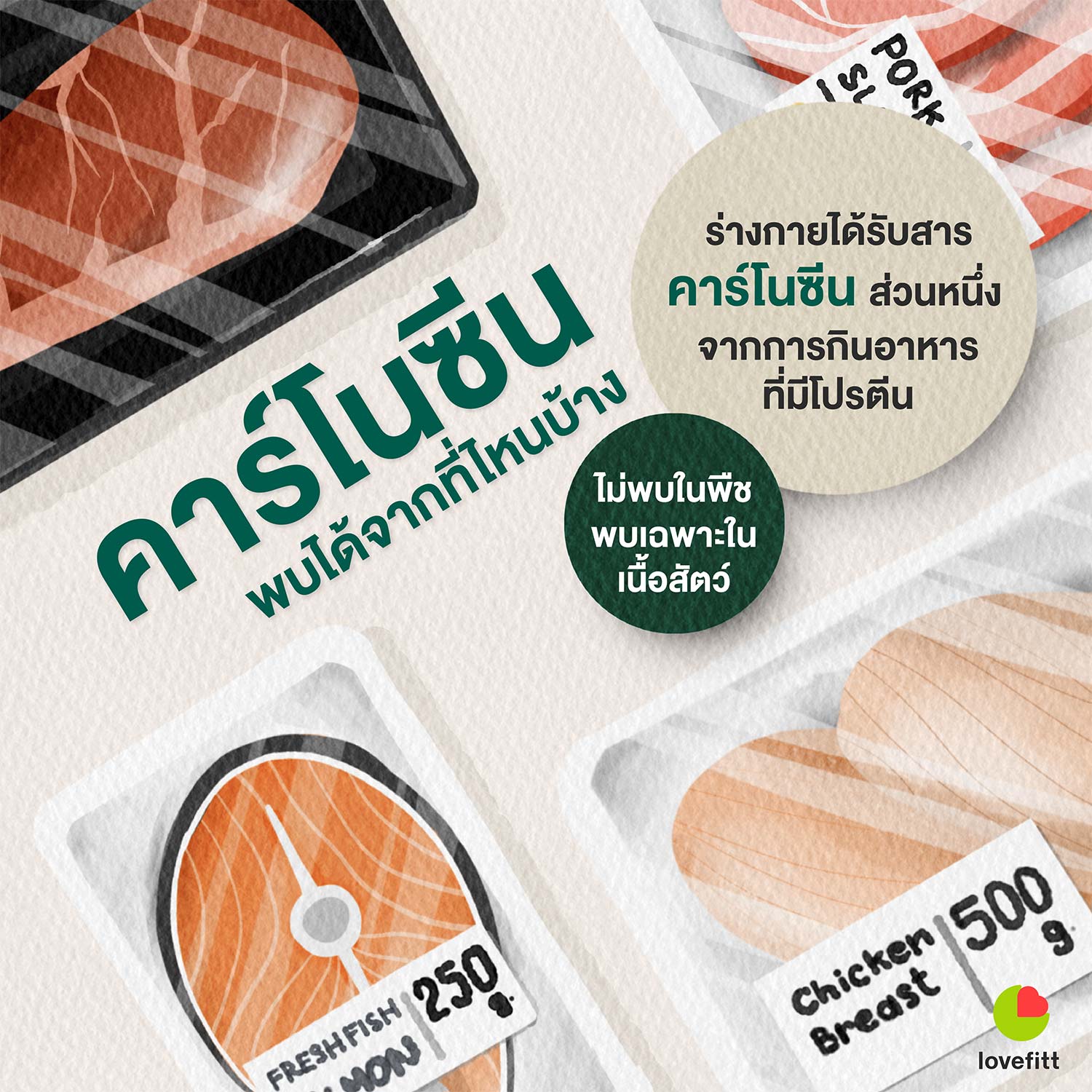 คาร์โนซีนมีในเนื้อสัตว์เท่านั้น